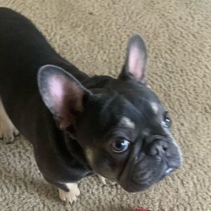 Meet your Posher, Day